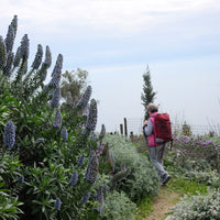 OUTDOOR YOGA IN CINQUE TERRE: Sabato, 21 Giugno alle 10.00