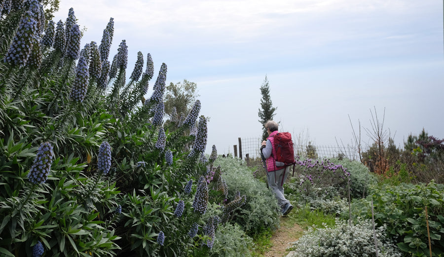 OUTDOOR YOGA IN CINQUE TERRE: Sabato, 21 Giugno alle 10.00