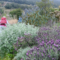 OUTDOOR YOGA IN CINQUE TERRE: Sabato, 21 Giugno alle 10.00