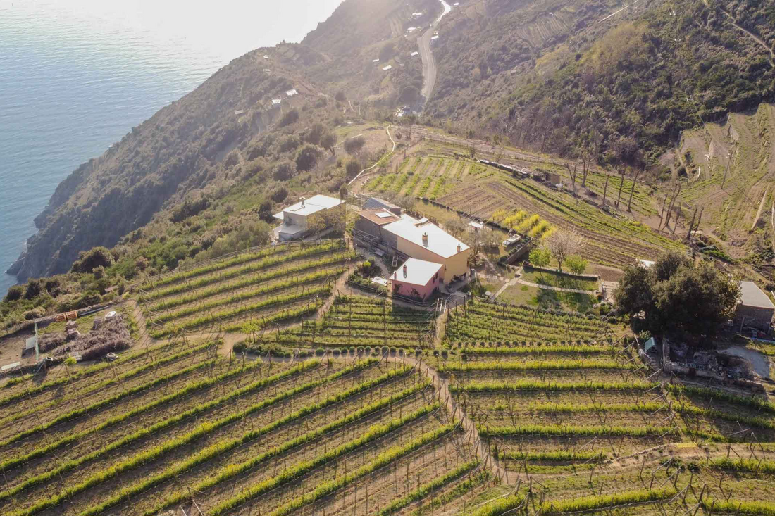 Wine Tour & Tasting
