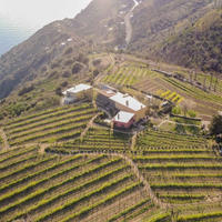 Wine Tour & Tasting